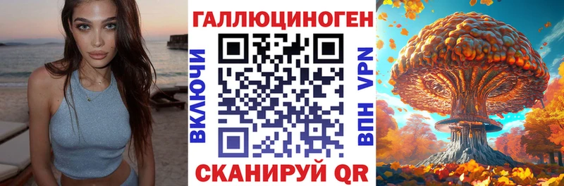 Галлюциногенные грибы Psilocybine cubensis  закладка  маркетплейс наркотические препараты  Ставрополь 